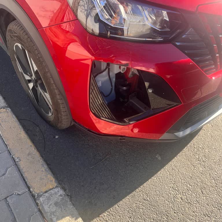 Peugeot Yetkili Serviste Uzayan Süreç: 1 Aylık Mağduriyet!