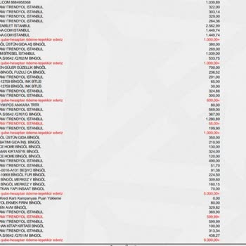 Temu'dan İade Sorunu: Güvenilirlik Sorgulanıyor