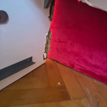 Yatak Tasarımı ve Müşteri Hizmetleri Sorunları