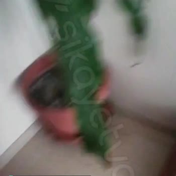 Digiturk Kutularının Yeni Olmasına Rağmen Bozulması!