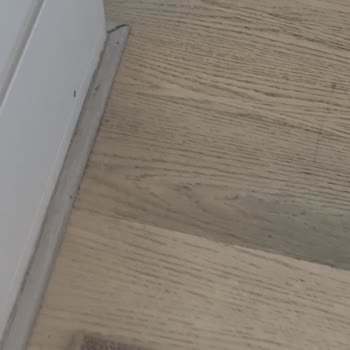 Airbnb Rental Had Poor Hygiene and Safety Issues, No Support Provided