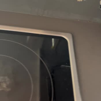 Airbnb Rental Had Poor Hygiene and Safety Issues, No Support Provided