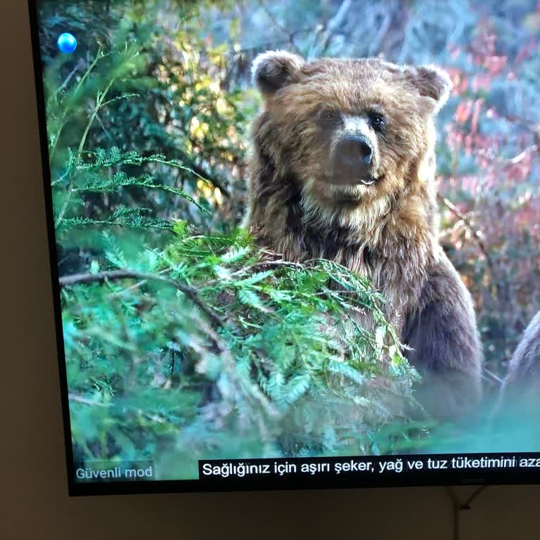 Onvo Televizyon Güvenli Mod Sorunu