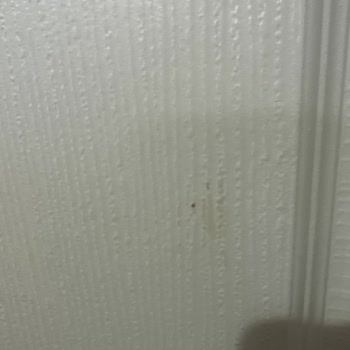 Marshall Boya Panel Kapı Boyasında Soyulma Ve Yapışma Sorunu!