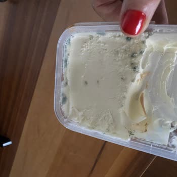 Taze Ürün Beklerken Küflenmiş Kaymak Şoku