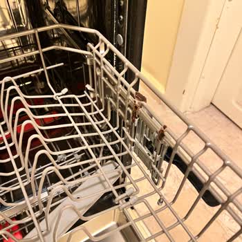 Samsung Bulaşık Makinesi Sepetleri Paslanıyor Ve Yüksek Servis Ücreti