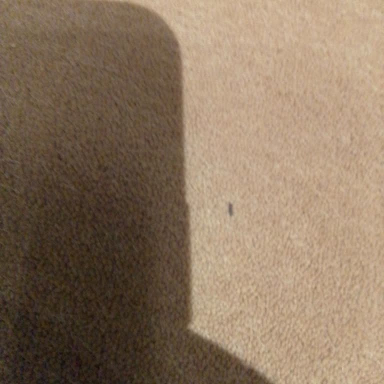 Kanyon AVM Mescitte Hijyen Sorunu Ve Böcekler