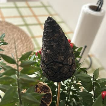 ÇiçekSepeti Yanlış ve Eksik Ürün Teslimatı Sorunu