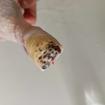 Yanık Bagetlerle Mağduriyet: İade Ve Telafi Sorunu