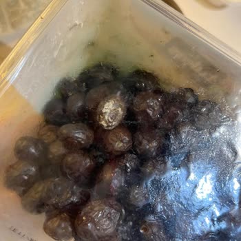 A101'de Bozuk Ürün Problemi Ve İade Süreci Sorunu