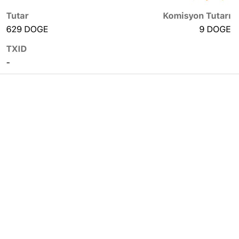 Doge Coin Transferinde Gecikme Sorunu