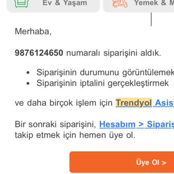 Kayıp Mont Kargosu Sorunu