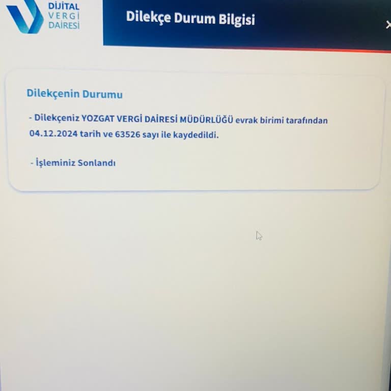 Pasaport Harcı İadesinde Geri Dönüş Sorunu