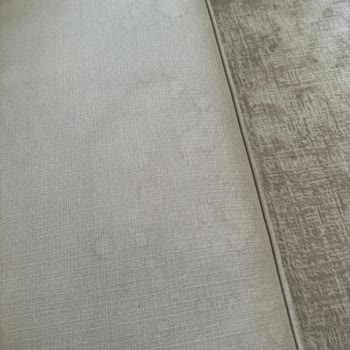 Silinebilir Koltuklar Leke Tutuyor, Çözüm Yok