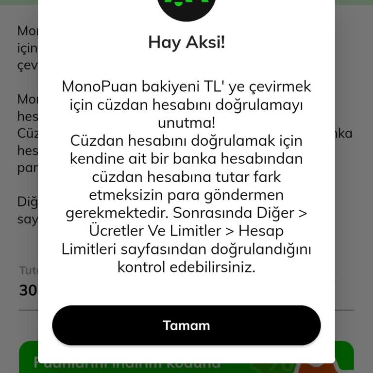 Mono Puanlarım Cüzdana Aktarılamıyor