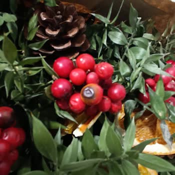 Yılbaşı İçin Aldığım Kokina Çiçekleri Çürük Geldi