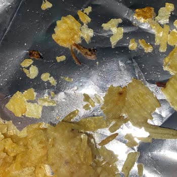Ruffles Cips Paketinden Çıkan Böcek Şoku