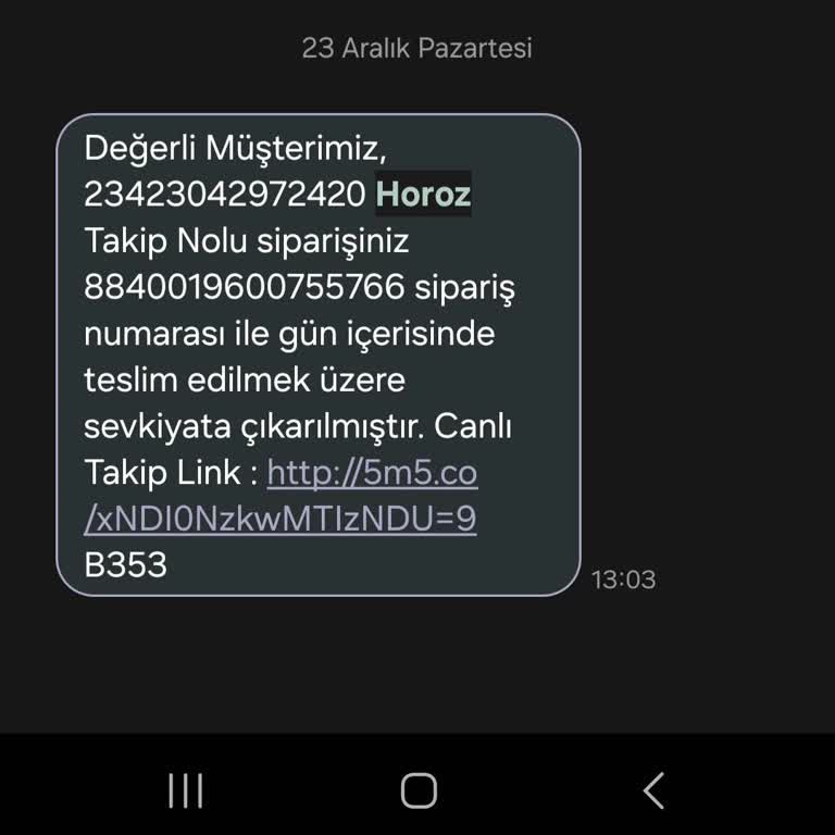 Horoz Lojistik Teslimat Sorunu: İşe Gidemiyorum