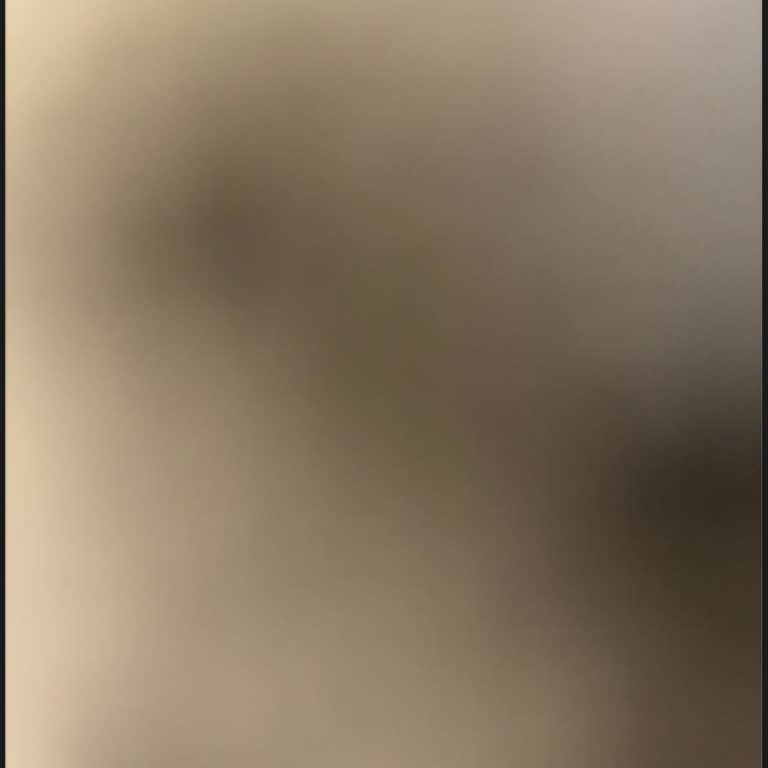 Garanti Sürecinde Faturasız Cihaz Sorunu