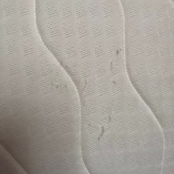 Uzun Süreli Yatak Sorunu Ve Müşteri Hizmetleri Hayal Kırıklığı