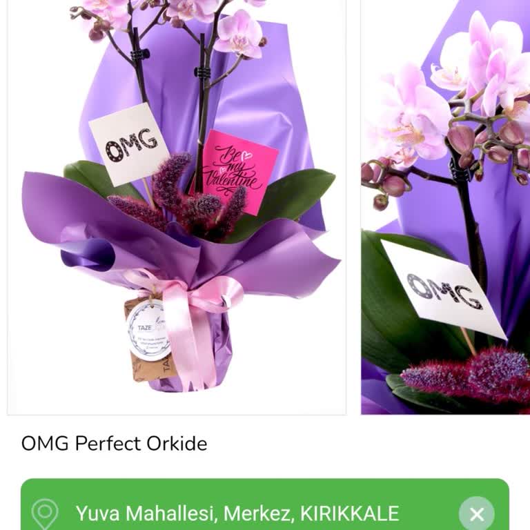 Taze Çiçek | Tazecicek.com Yanlış Ürün ve Değişen Teslim Tarihleri