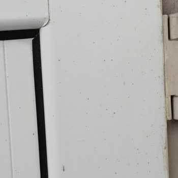 Çam Temizlik 5 Bin Lira Aldı Ama Hiçbir Yeri Temizlemeden Gitmişler!