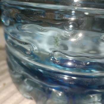 Güvenilir Su Markasında Beklenmedik Yosun Problemi