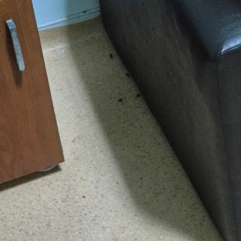 Hijyen Sorunlarıyla Boğuşan Hastane