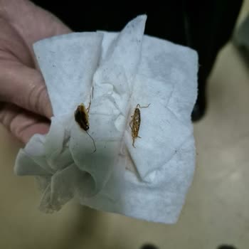 Hijyen Sorunlarıyla Boğuşan Hastane