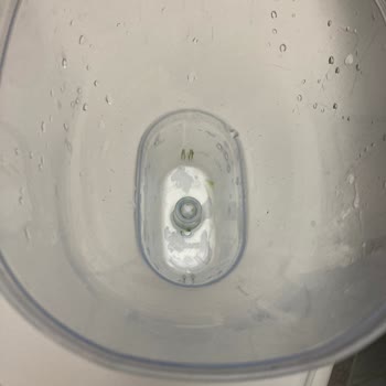 Brita Sürahisinde Yosun Sorunu!