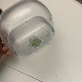 Brita Sürahisinde Yosun Sorunu!