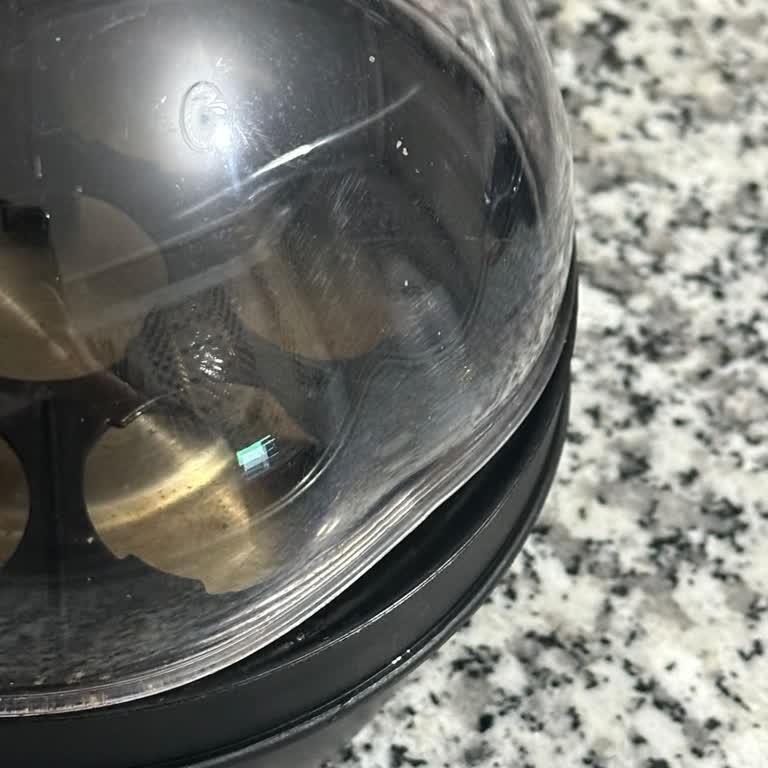 Sinbo Yumurta Pişirme Makinesi İçin Yedek Parça Talebi