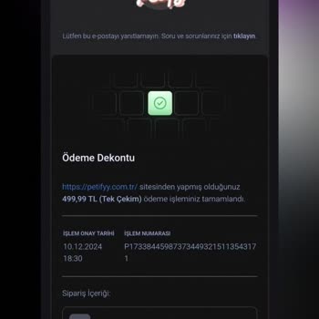Kedim İçin Aldığım Oyuncağın Teslim Edilmemesi