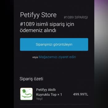 Kedim İçin Aldığım Oyuncağın Teslim Edilmemesi