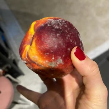 Vestel Ürünlerinde Sürekli Arıza Sorunları