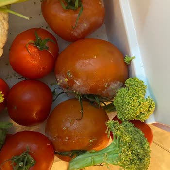 Vestel Ürünlerinde Sürekli Arıza Sorunları