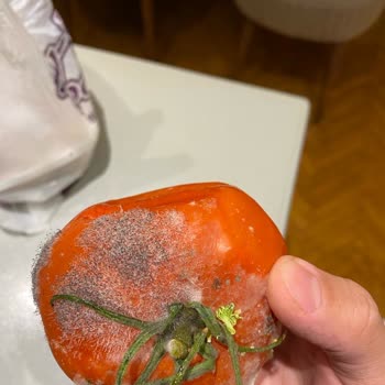 Vestel Ürünlerinde Sürekli Arıza Sorunları