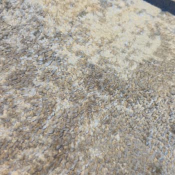 Hasır Halı Yıkama (Bursa) Halıda Renk Atması Ve Tiftiklenme Sorunu!