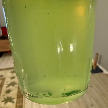 Schweppes Biter Lemon İçinde Plastik Parçalar