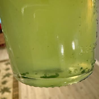 Schweppes Biter Lemon İçinde Plastik Parçalar