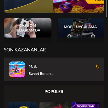 Casibom Para Yatırma Sorunu ve Oyun Erişimi Engeli