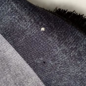 Halı Kalitesi Ve Müşteri Hizmetleri Hayal Kırıklığı