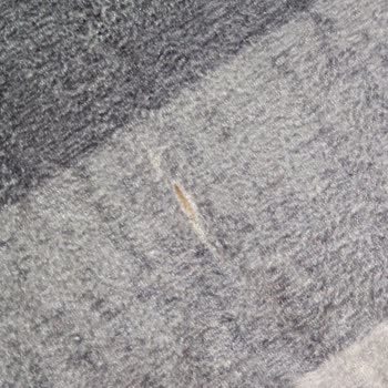 Halı Kalitesi Ve Müşteri Hizmetleri Hayal Kırıklığı