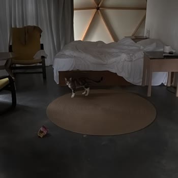 In Out Resorts Bungalov Kiralama Deneyimim Ve Karşılaştığım Sorunlar!