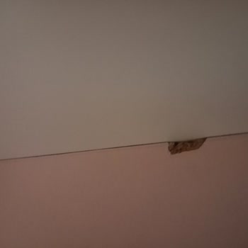 Kırık Ve Deforme Mobilya Parçaları Sorunu
