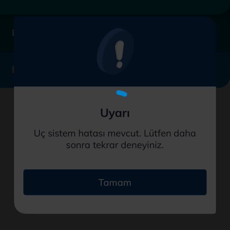 Türk Telekom Uygulamasına Erişim Sorunu