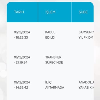 Geciken Kargo Teslimatı Ve İletişim Sorunları