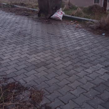 Çıkmaz Sokaklarda Çöp Sorunu