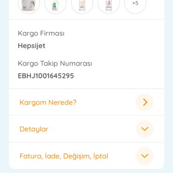Kargo Hasarı Ve Gecikme Mağduriyeti