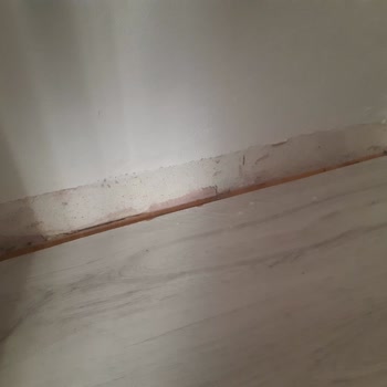 Parke Değişiminde Bitmeyen Sorunlar Ve Eksper Raporu Çıkmazı